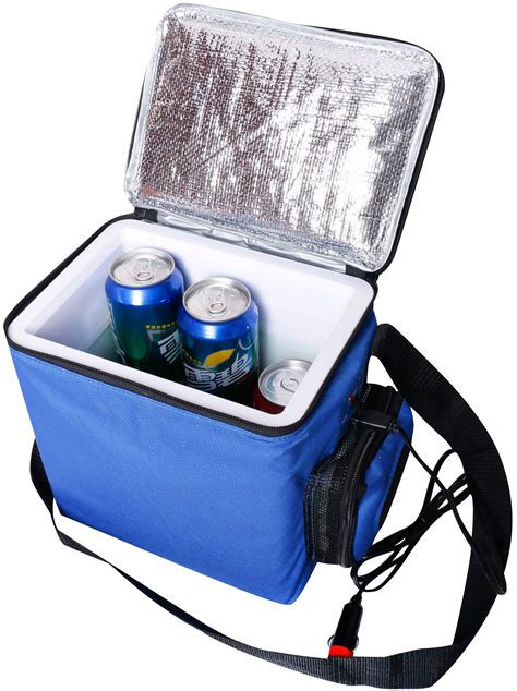 portable electric cooler box